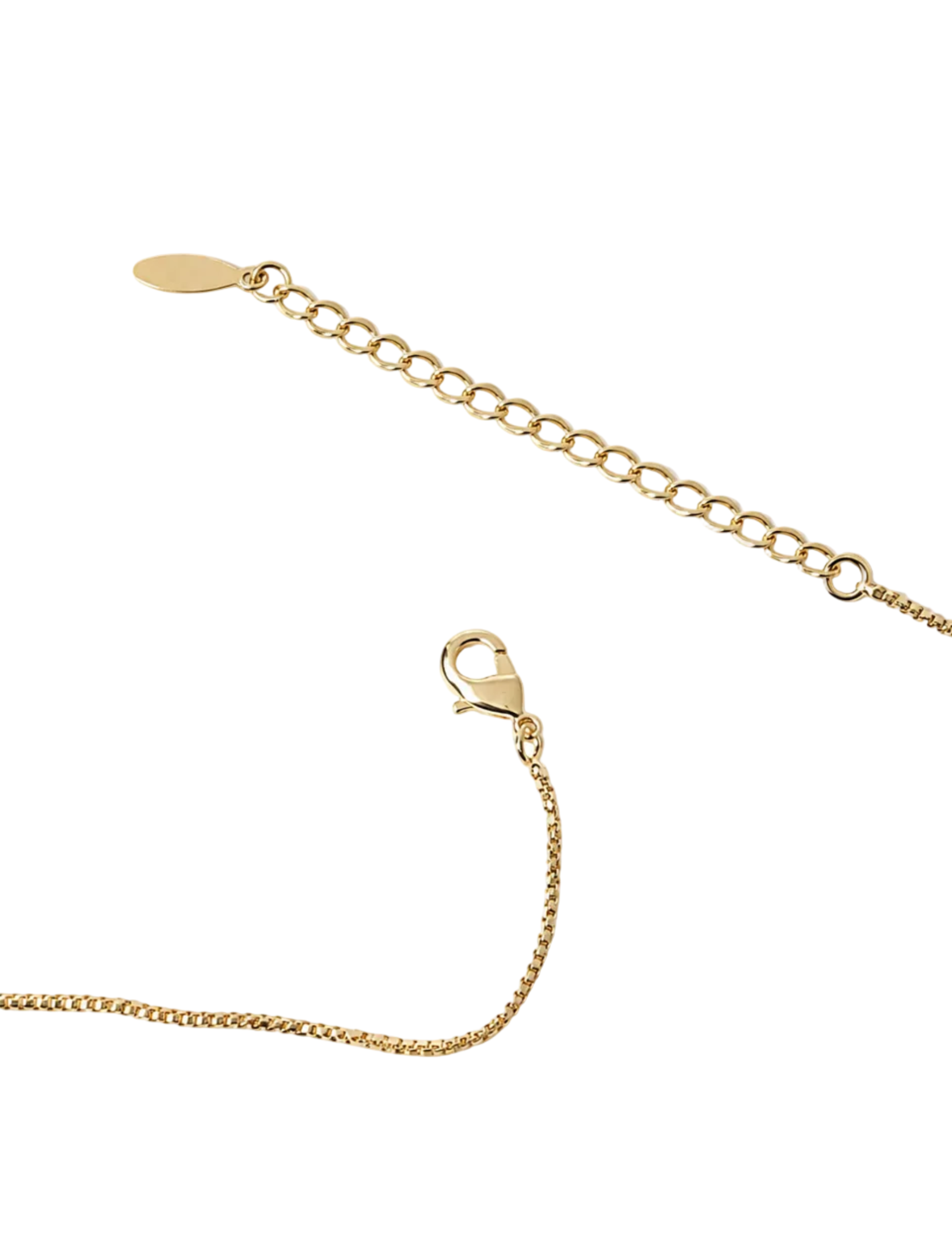 Gold chain necklace with a lobster clasp and an adjustable extender chain featuring a small oval tag, shown on a plain white background.
